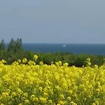 شقة Place - Abc587 *